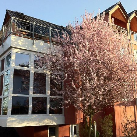Gaestehaus Kirschgarten 博登海姆 外观 照片