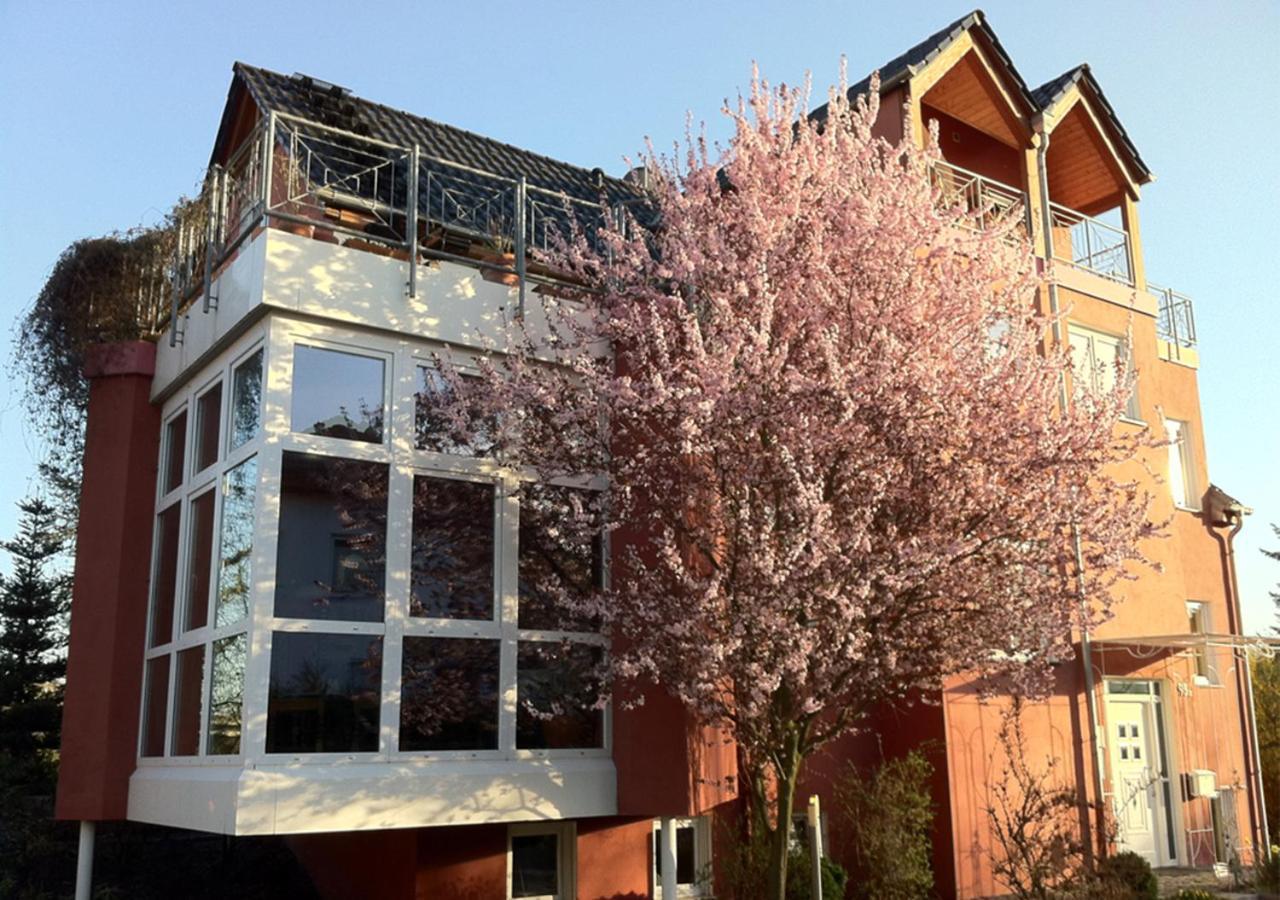 Gaestehaus Kirschgarten 博登海姆 外观 照片
